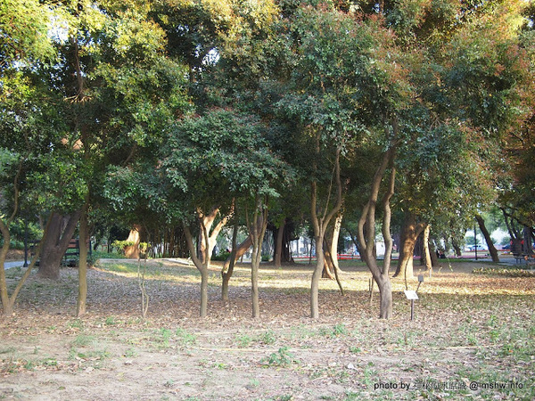 佳里中山公園(2013台南百花祭):【景點】台南佳里中山公園@2014台南百花祭 : 花沒想像中的多,但還蠻適合散步的囉!