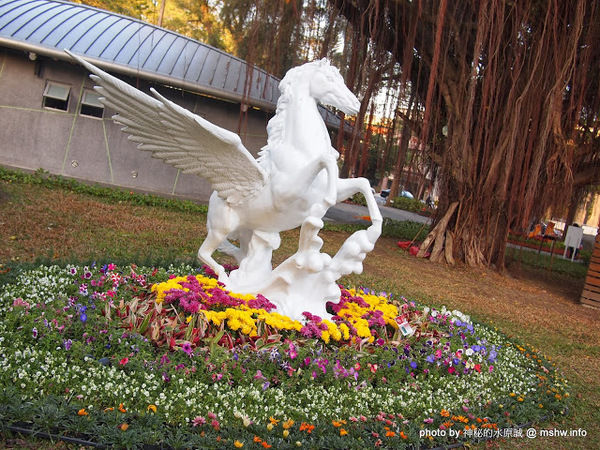 佳里中山公園(2013台南百花祭):【景點】台南佳里中山公園@2014台南百花祭 : 花沒想像中的多,但還蠻適合散步的囉!