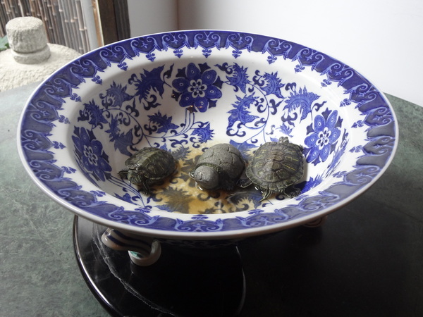 春山品味料理：1011205[官本金文愛台灣]春山日本料理日式舊屋改造無菜單料理高貴不貴中上的一餐