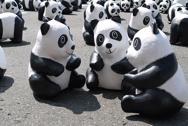 台北市政府前廣場:1600貓熊世界之旅到台北~終於看到好多可愛的紙貓熊