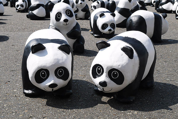 台北市政府前廣場:1600貓熊世界之旅到台北~終於看到好多可愛的紙貓熊