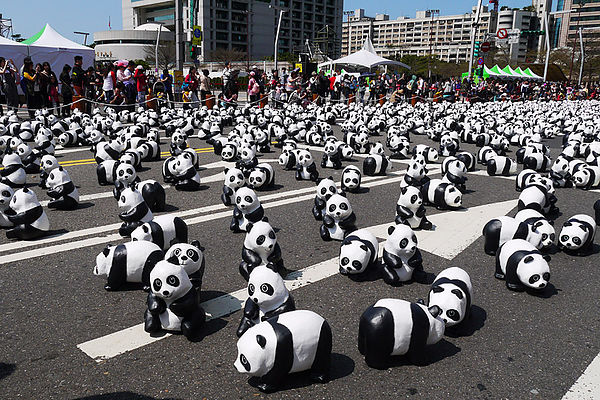 台北市政府前廣場:1600貓熊世界之旅到台北~終於看到好多可愛的紙貓熊