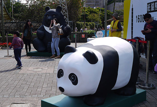 台北市政府前廣場:1600貓熊世界之旅到台北~終於看到好多可愛的紙貓熊