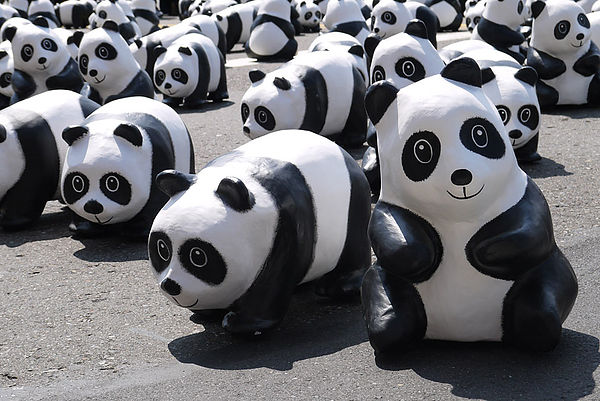 台北市政府前廣場:1600貓熊世界之旅到台北~終於看到好多可愛的紙貓熊