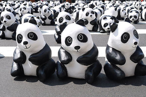 台北市政府前廣場:1600貓熊世界之旅到台北~終於看到好多可愛的紙貓熊