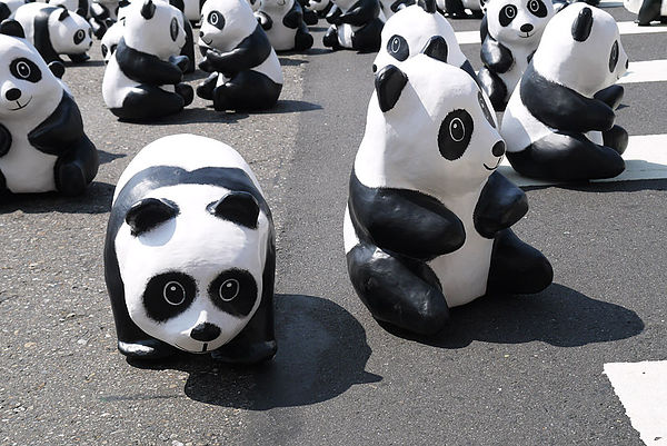 台北市政府前廣場:1600貓熊世界之旅到台北~終於看到好多可愛的紙貓熊