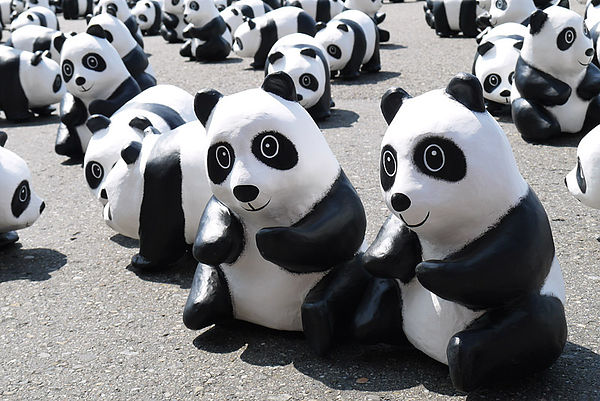 台北市政府前廣場:1600貓熊世界之旅到台北~終於看到好多可愛的紙貓熊