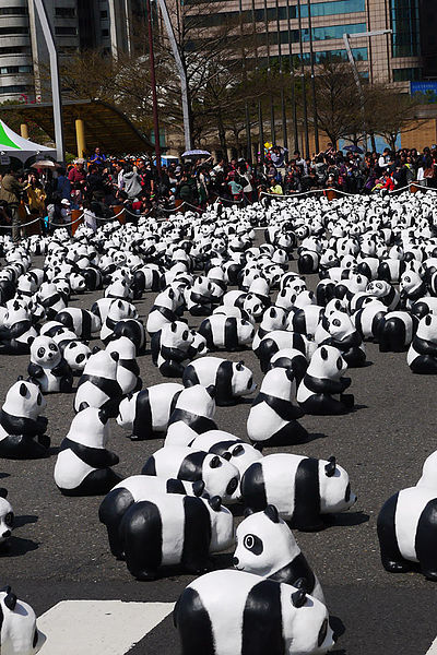 台北市政府前廣場:1600貓熊世界之旅到台北~終於看到好多可愛的紙貓熊