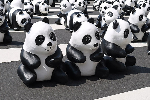 台北市政府前廣場:1600貓熊世界之旅到台北~終於看到好多可愛的紙貓熊