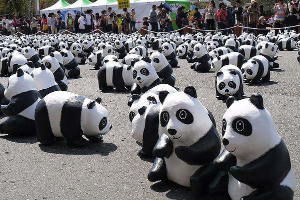 台北市政府前廣場:1600貓熊世界之旅到台北~終於看到好多可愛的紙貓熊