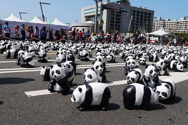 台北市政府前廣場:1600貓熊世界之旅到台北~終於看到好多可愛的紙貓熊