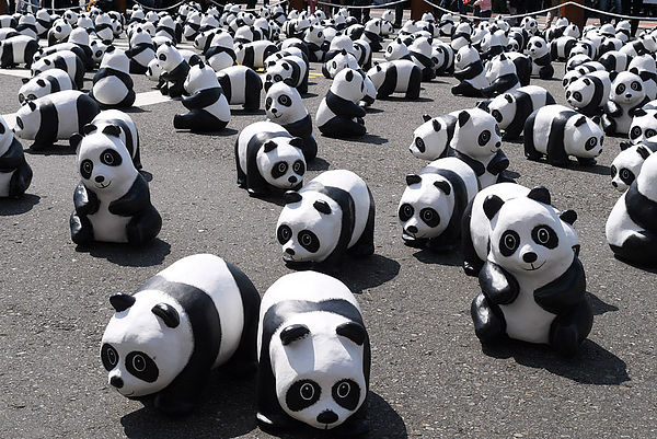 台北市政府前廣場:1600貓熊世界之旅到台北~終於看到好多可愛的紙貓熊