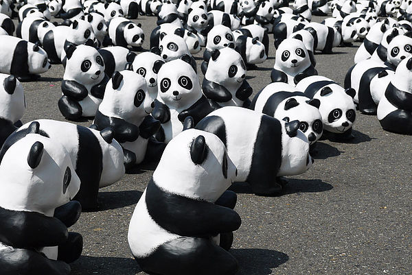 台北市政府前廣場:1600貓熊世界之旅到台北~終於看到好多可愛的紙貓熊