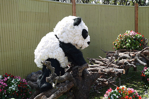 台北市政府前廣場:1600貓熊世界之旅到台北~終於看到好多可愛的紙貓熊