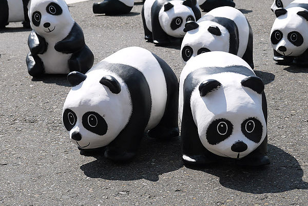 台北市政府前廣場:1600貓熊世界之旅到台北~終於看到好多可愛的紙貓熊