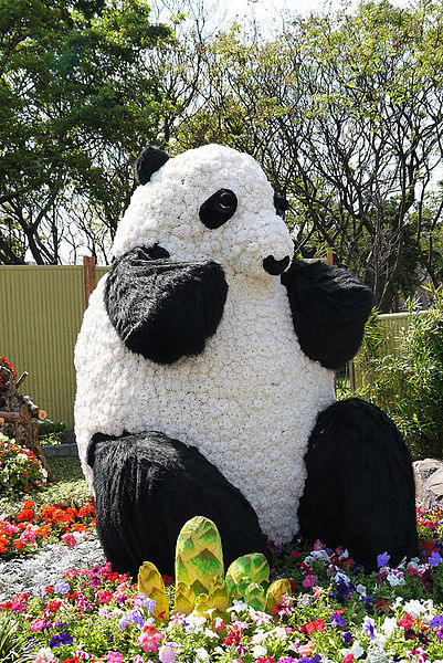 台北市政府前廣場:1600貓熊世界之旅到台北~終於看到好多可愛的紙貓熊