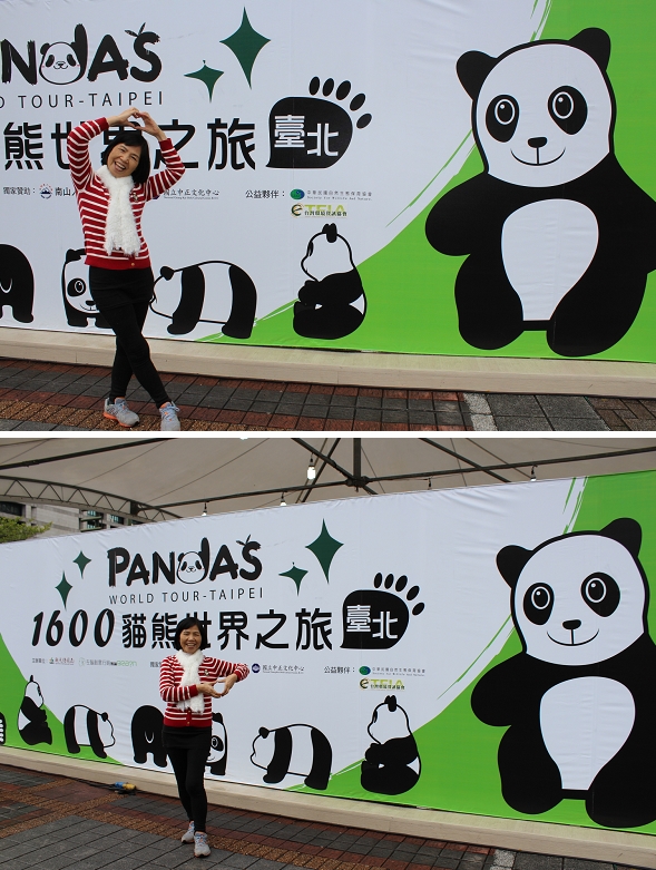 2014「1600 貓熊世界之旅 」(台北場):台北捷運1日遊~紙貓熊展✪1600貓熊世界之旅【台北市政府】~103.03.07