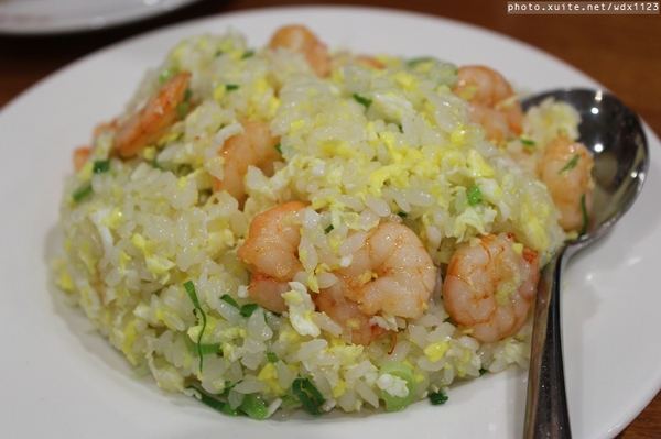 2014「1600 貓熊世界之旅 」(台北場):台北捷運1日遊~紙貓熊展✪1600貓熊世界之旅【台北市政府】~103.03.07