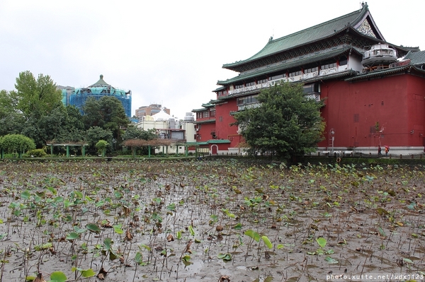 2014「1600 貓熊世界之旅 」(台北場):台北捷運1日遊~紙貓熊展✪1600貓熊世界之旅【台北市政府】~103.03.07