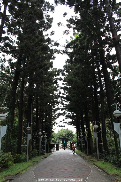 2014「1600 貓熊世界之旅 」(台北場):台北捷運1日遊~紙貓熊展✪1600貓熊世界之旅【台北市政府】~103.03.07