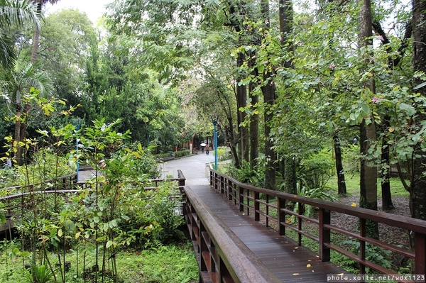 2014「1600 貓熊世界之旅 」(台北場):台北捷運1日遊~紙貓熊展✪1600貓熊世界之旅【台北市政府】~103.03.07