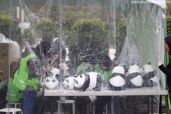 2014「1600 貓熊世界之旅 」(台北場):台北捷運1日遊~紙貓熊展✪1600貓熊世界之旅【台北市政府】~103.03.07