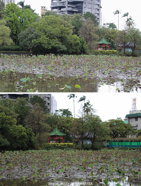 2014「1600 貓熊世界之旅 」(台北場):台北捷運1日遊~紙貓熊展✪1600貓熊世界之旅【台北市政府】~103.03.07