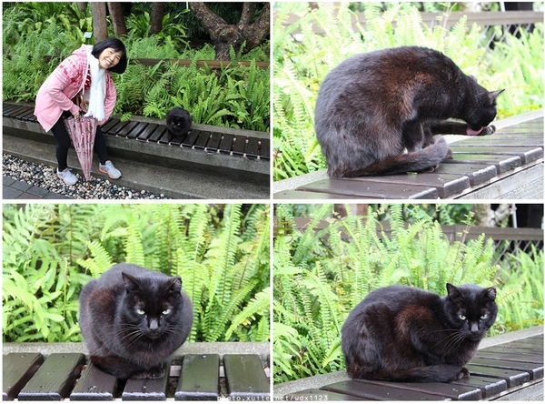 2014「1600 貓熊世界之旅 」(台北場):台北捷運1日遊~紙貓熊展✪1600貓熊世界之旅【台北市政府】~103.03.07