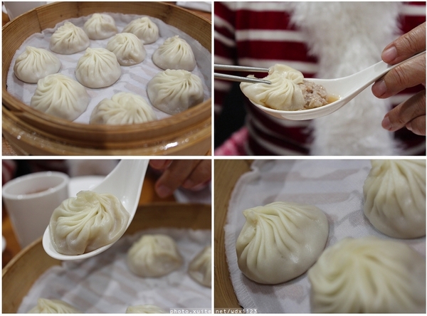 2014「1600 貓熊世界之旅 」(台北場):台北捷運1日遊~紙貓熊展✪1600貓熊世界之旅【台北市政府】~103.03.07