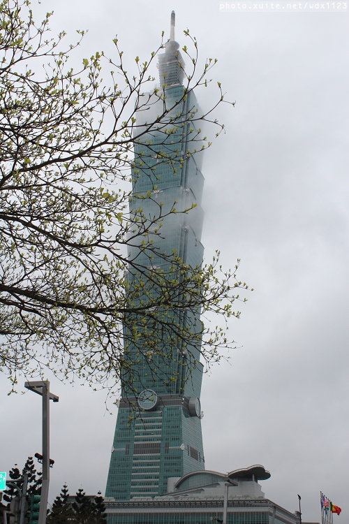 2014「1600 貓熊世界之旅 」(台北場):台北捷運1日遊~紙貓熊展✪1600貓熊世界之旅【台北市政府】~103.03.07