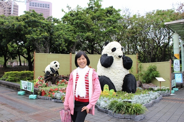 2014「1600 貓熊世界之旅 」(台北場):台北捷運1日遊~紙貓熊展✪1600貓熊世界之旅【台北市政府】~103.03.07