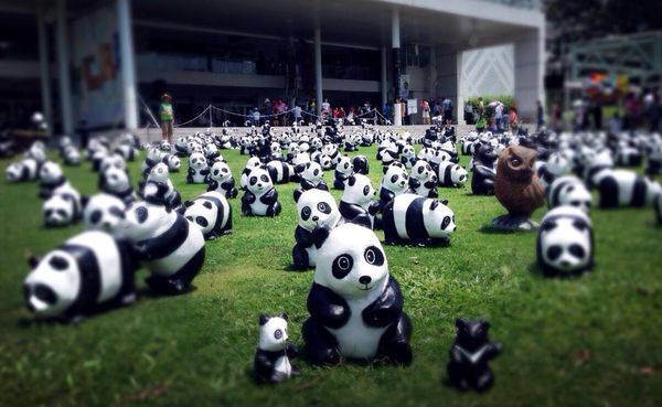 1454232_950851848264693_1466696066_n