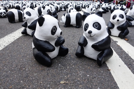 吃完想說碰運氣去市府看第一天貓熊展