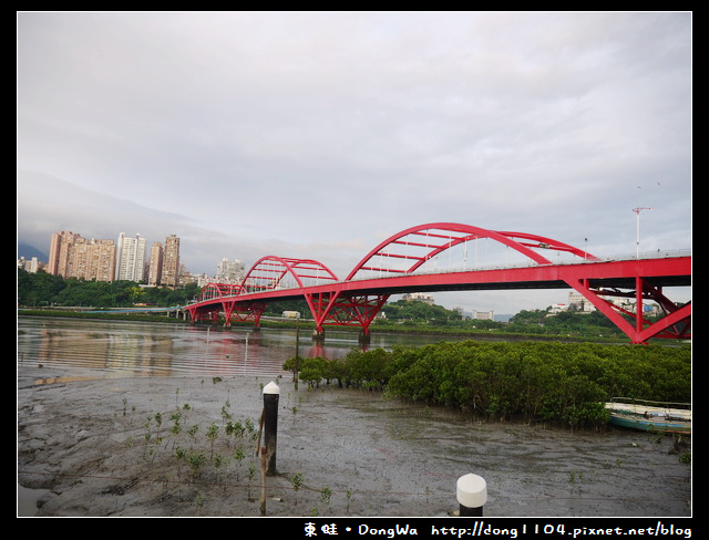【新北食記】八里。蛙咖啡。frog cafe。免費無線wifi