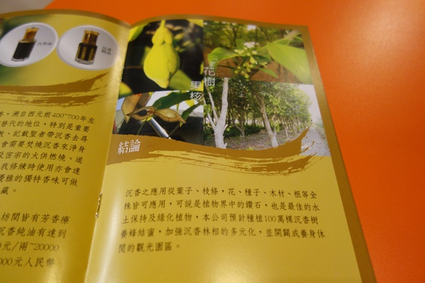 松醇沉香主題複合式餐飲：1030225[官本金文愛台灣]松醇沉香主題複合式餐飲輕鬆養生享受美食歡渡美好時光的好地方