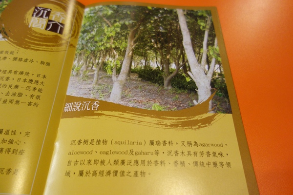 松醇沉香主題複合式餐飲：1030225[官本金文愛台灣]松醇沉香主題複合式餐飲輕鬆養生享受美食歡渡美好時光的好地方