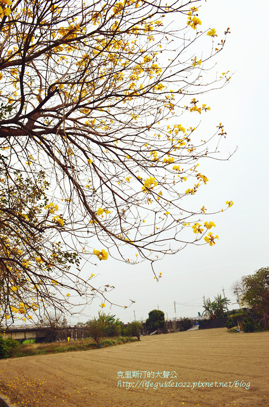 六興宮 058_副本.jpg