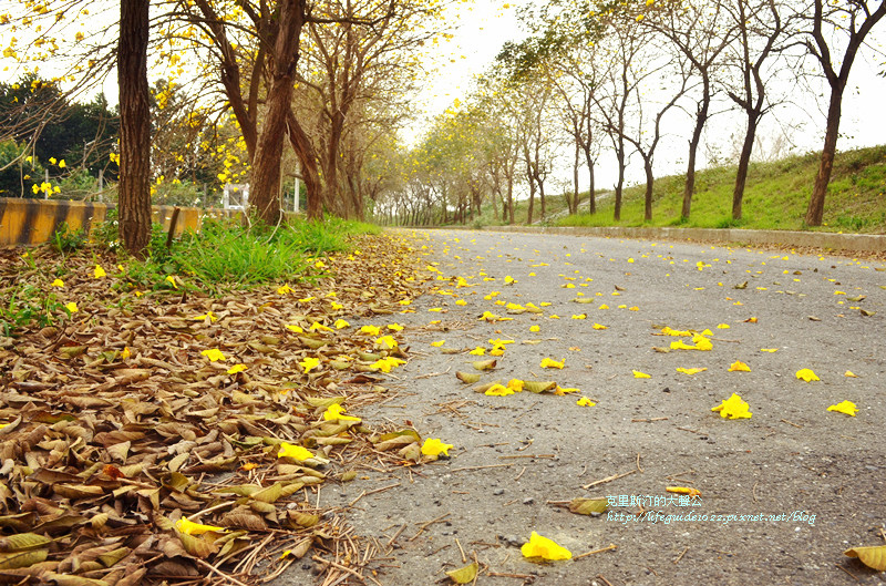 六興宮 064_副本.jpg