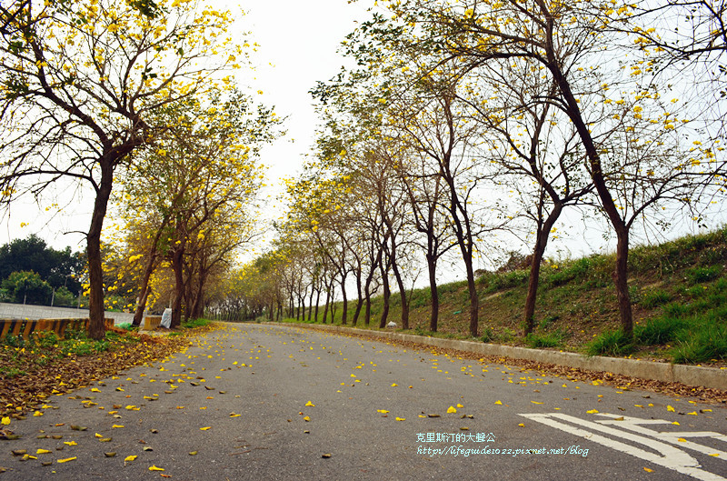 六興宮 036_副本.jpg