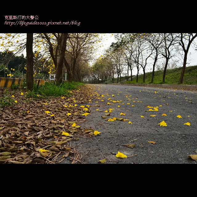 六興宮 137_副本.jpg