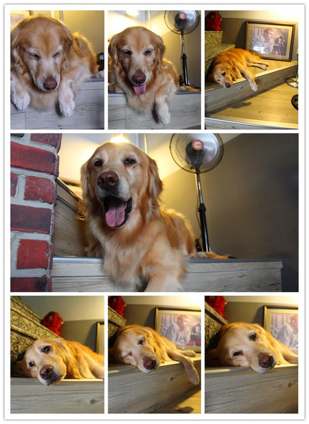 Lazy Bones懶骨頭美式早午餐：[台南]好飽好飽的美式早午餐 Lazy Bones 懶骨頭