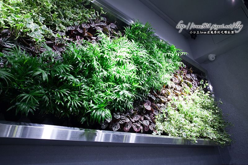 14.04.06-瓦法奇朵