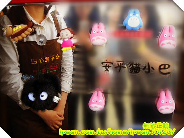 安平貓小巴(龍貓小巴)：【台南-安平】童年電影龍貓。真實上映~《安平貓小巴》