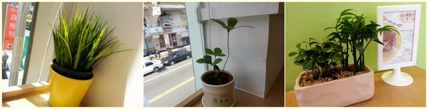 D&A Burger Store:【口碑券8】新鮮食材享受速食