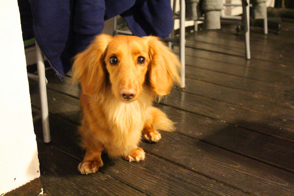 Kia Ora Kai：[台北]俯瞰淡水美景+美食-老街上的隱藏版漢堡 Kia Ora Kai