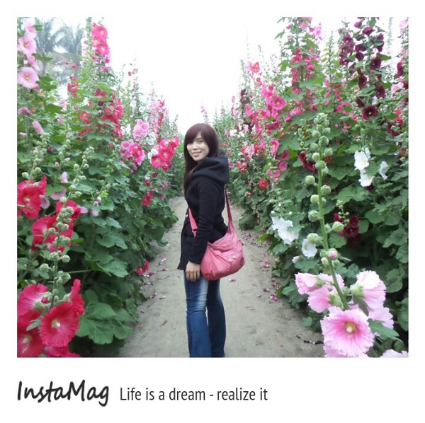 學甲蜀葵花海:這裡像是要通往什麼秘境般的道路,誰來指引我去呢~學甲光華里蜀葵園區