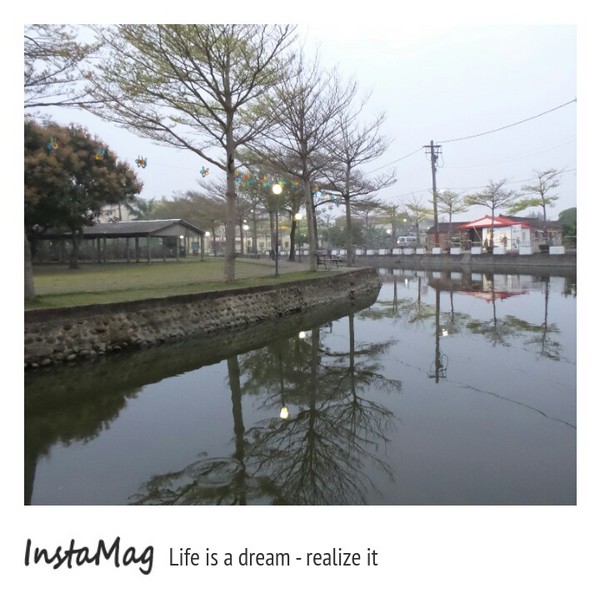 學甲蜀葵花海:這裡像是要通往什麼秘境般的道路,誰來指引我去呢~學甲光華里蜀葵園區