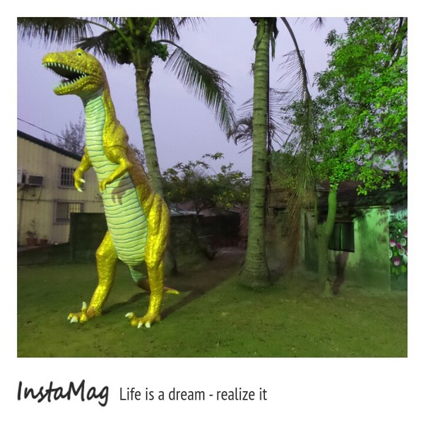 學甲蜀葵花海:這裡像是要通往什麼秘境般的道路,誰來指引我去呢~學甲光華里蜀葵園區