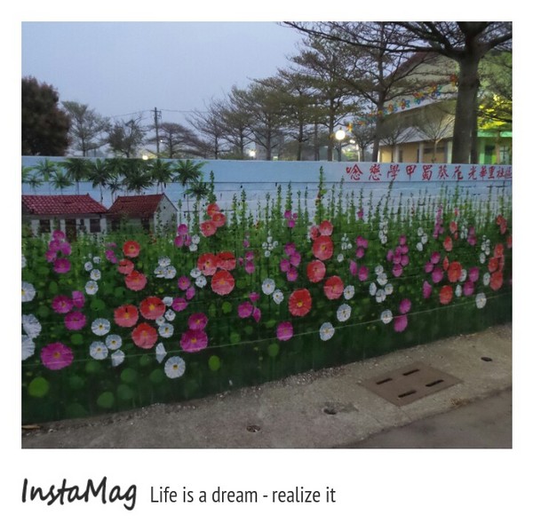 學甲蜀葵花海:這裡像是要通往什麼秘境般的道路,誰來指引我去呢~學甲光華里蜀葵園區