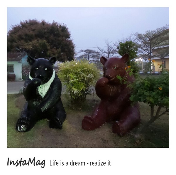 學甲蜀葵花海:這裡像是要通往什麼秘境般的道路,誰來指引我去呢~學甲光華里蜀葵園區